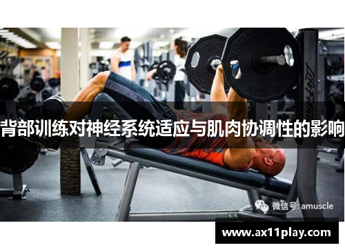 背部训练对神经系统适应与肌肉协调性的影响
